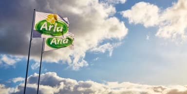 Rast prihoda Arle u prvom polugodištu