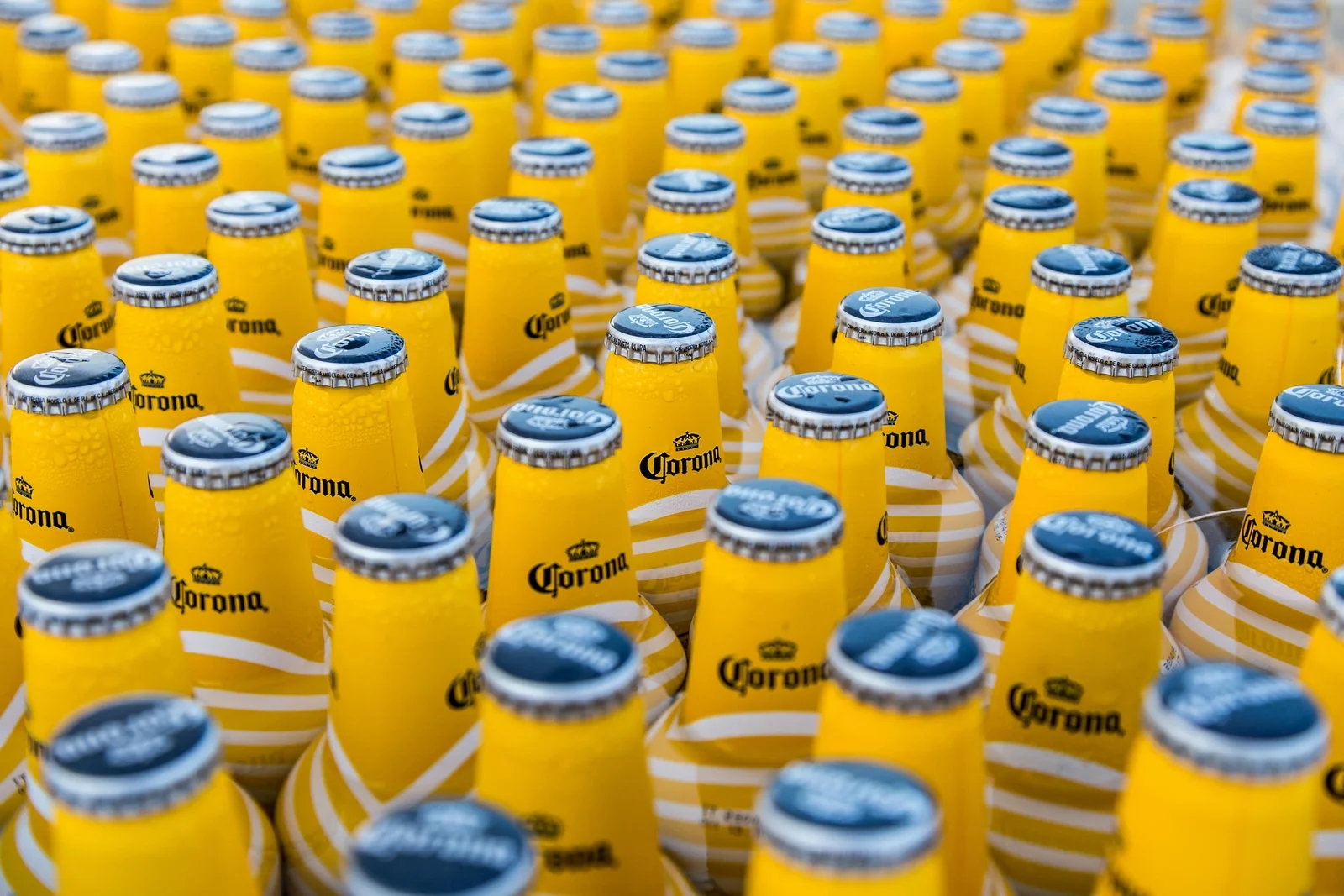 Constellation Brands prijavio rast prodaje u prvom kvartalu