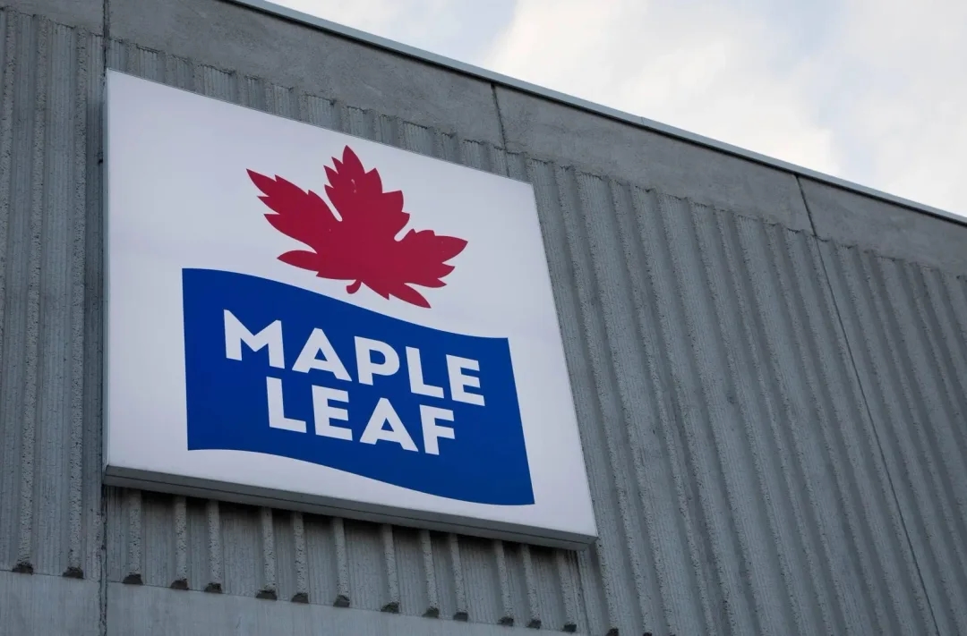 Maple Leaf Foods konsoliduje proizvodnju biljnih proteina