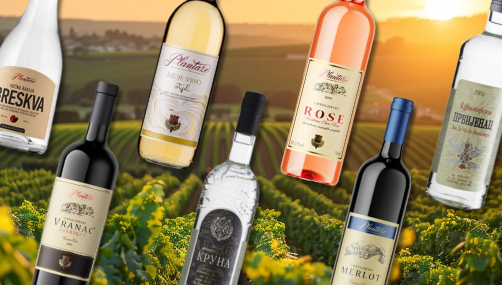 Profit Plantaža tri miliona eura, podignuta 62 hektara novih vinograda