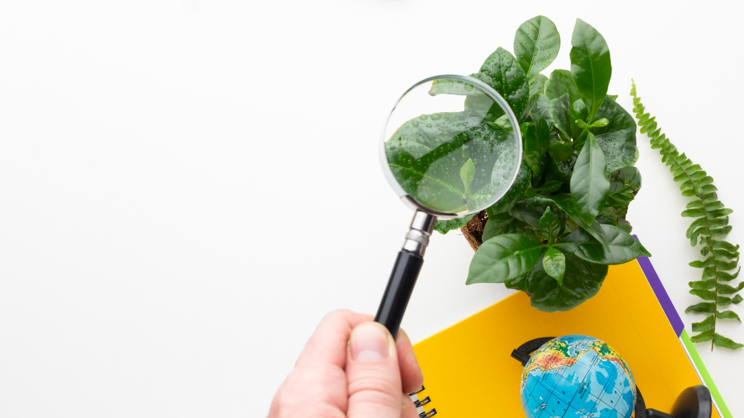 Autentičnost u CSR-u: Zašto javnost više ne oprašta nesklad između riječi i djela
